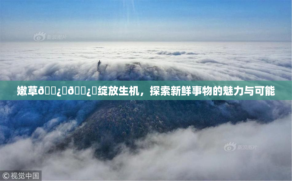 嫩草🌿‌🌿‌绽放生机，探索新鲜事物的魅力与可能