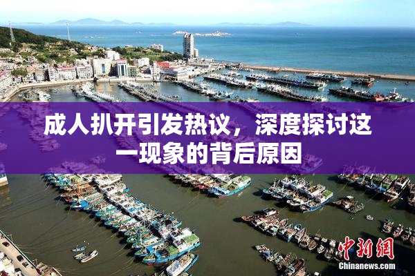 成人扒开引发热议，深度探讨这一现象的背后原因