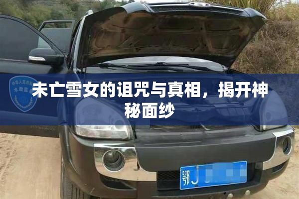 未亡雪女的诅咒与真相，揭开神秘面纱