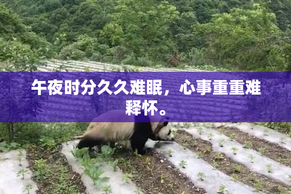 午夜时分久久难眠，心事重重难释怀。