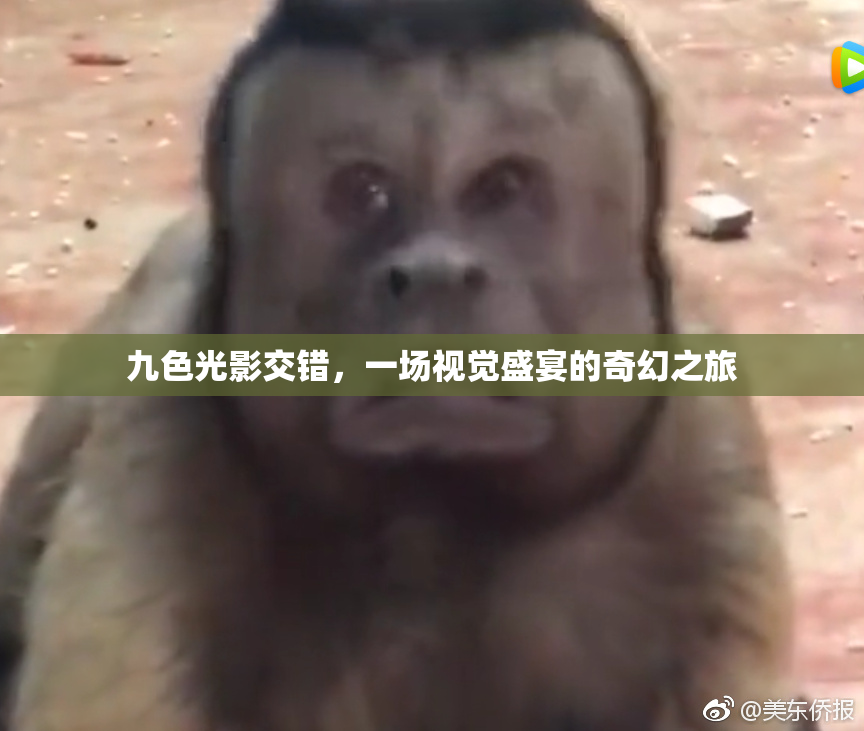 九色光影交错，一场视觉盛宴的奇幻之旅