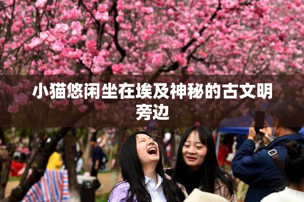 小猫悠闲坐在埃及神秘的古文明旁边