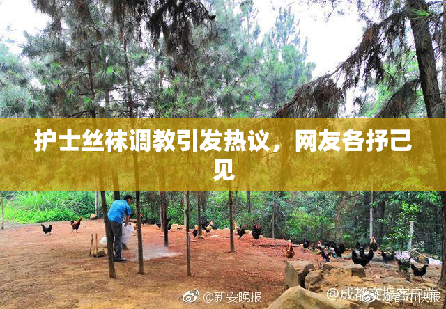 护士丝袜调教引发热议，网友各抒己见