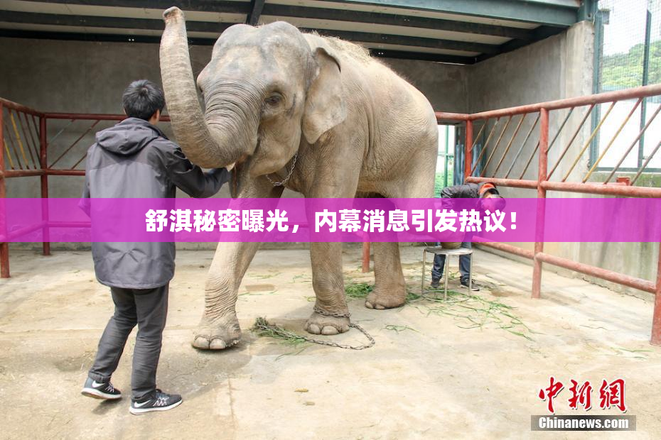 舒淇秘密曝光，内幕消息引发热议！