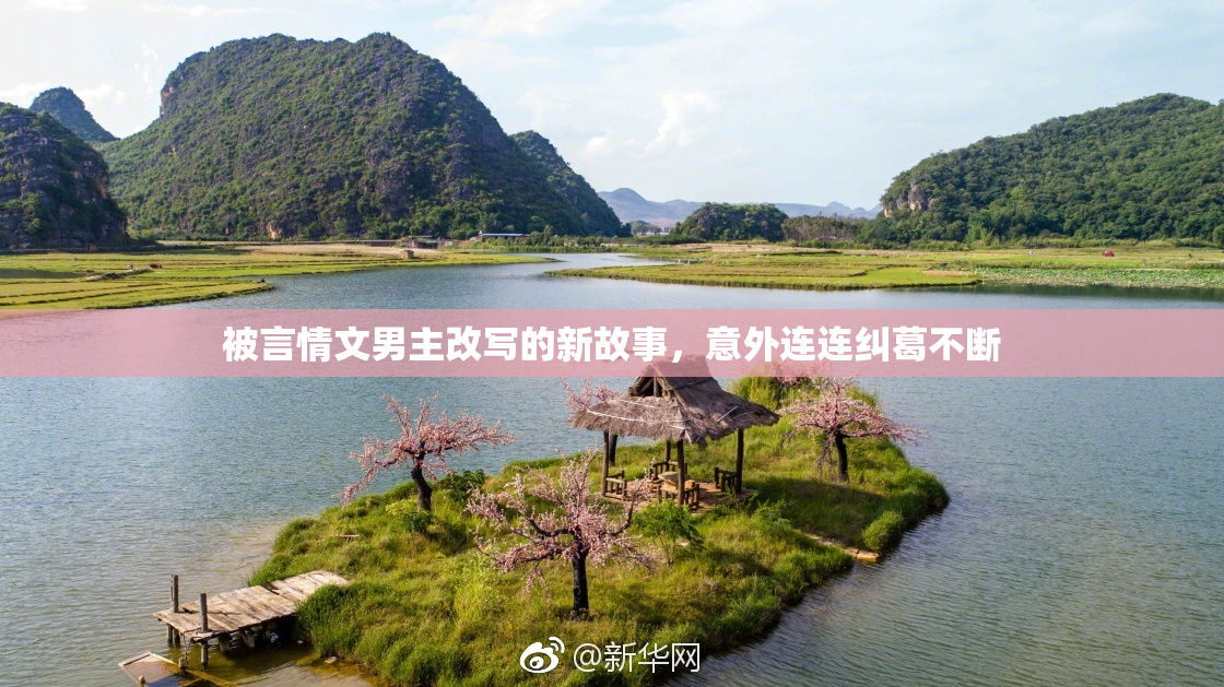 被言情文男主改写的新故事，意外连连纠葛不断