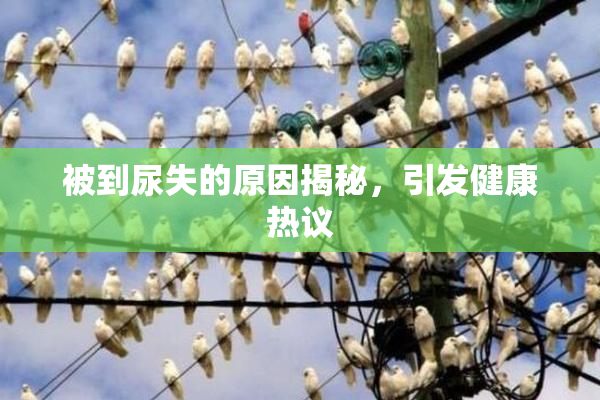 被到尿失的原因揭秘，引发健康热议
