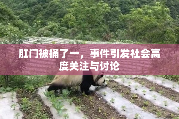 肛门被捅了一，事件引发社会高度关注与讨论