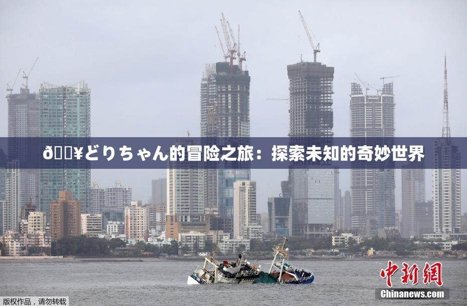 🔥どりちゃん的冒险之旅：探索未知的奇妙世界