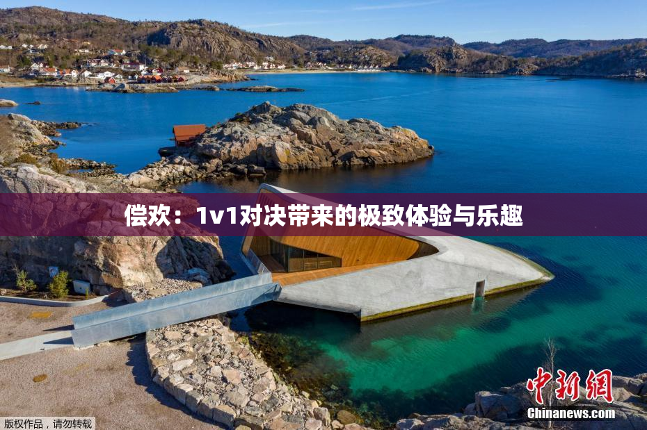 偿欢：1v1对决带来的极致体验与乐趣