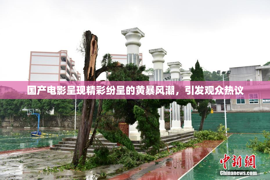 国产电影呈现精彩纷呈的黄暴风潮，引发观众热议