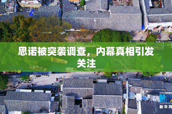 思诺被突袭调查，内幕真相引发关注