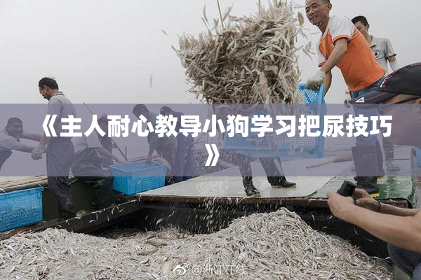 《主人耐心教导小狗学习把尿技巧》