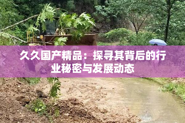 久久国产精品：探寻其背后的行业秘密与发展动态