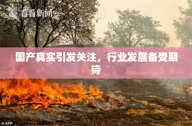 国产真实引发关注，行业发展备受期待