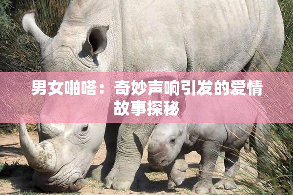 男女啪嗒：奇妙声响引发的爱情故事探秘