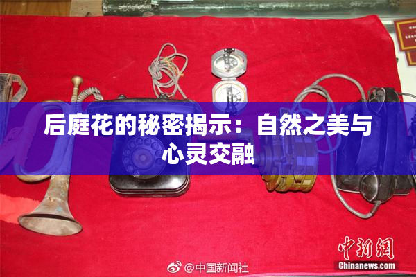后庭花的秘密揭示：自然之美与心灵交融