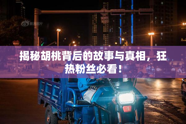 揭秘胡桃背后的故事与真相，狂热粉丝必看！