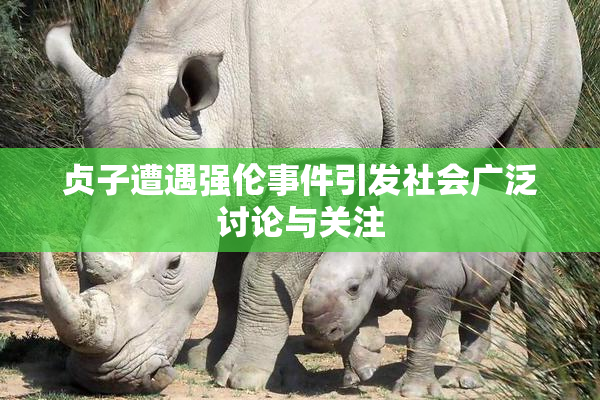 贞子遭遇强伦事件引发社会广泛讨论与关注