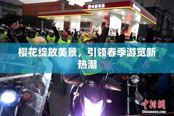 樱花绽放美景，引领春季游览新热潮