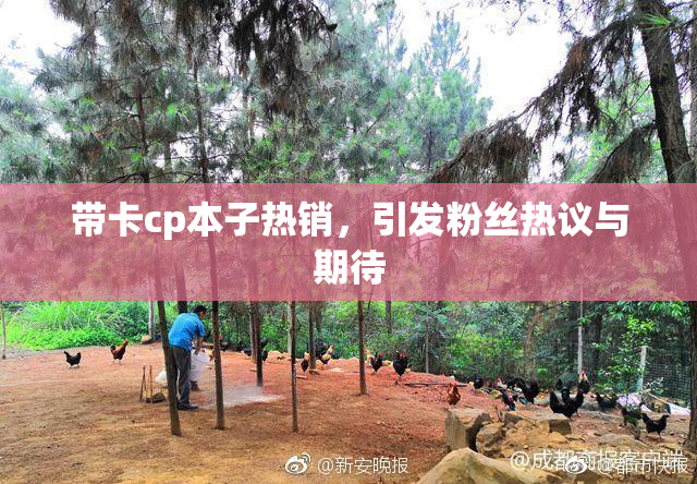 带卡cp本子热销，引发粉丝热议与期待
