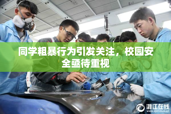 同学粗暴行为引发关注，校园安全亟待重视