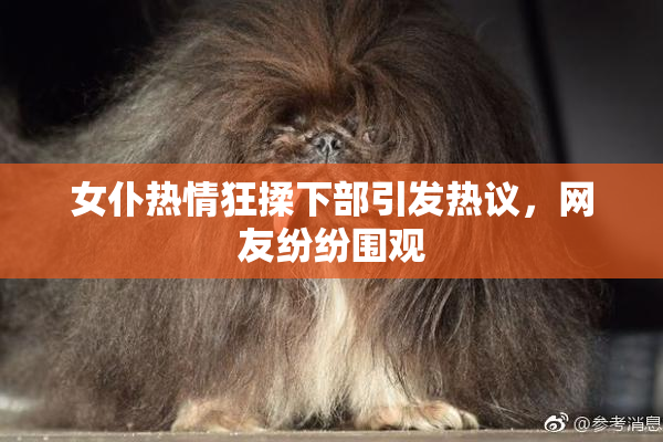 女仆热情狂揉下部引发热议，网友纷纷围观