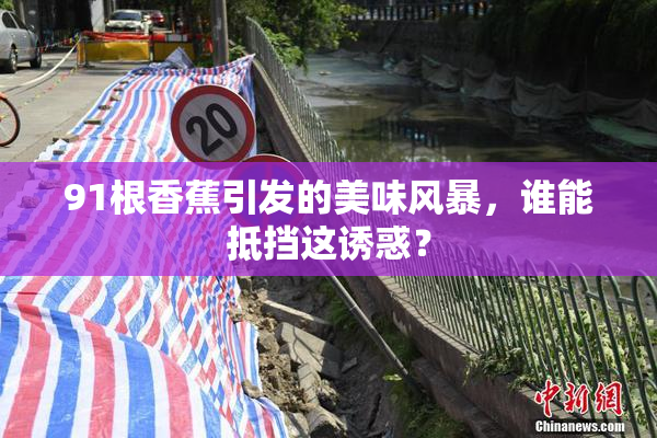 91根香蕉引发的美味风暴，谁能抵挡这诱惑？