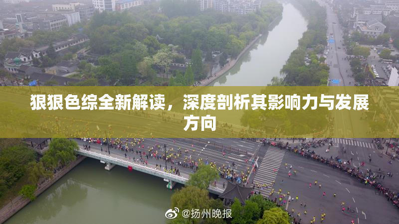 狠狠色综全新解读，深度剖析其影响力与发展方向