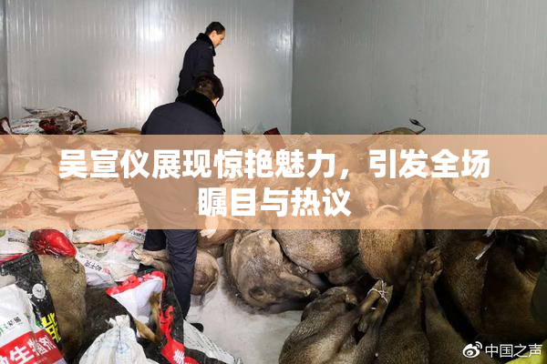 吴宣仪展现惊艳魅力，引发全场瞩目与热议