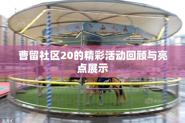 曹留社区20的精彩活动回顾与亮点展示