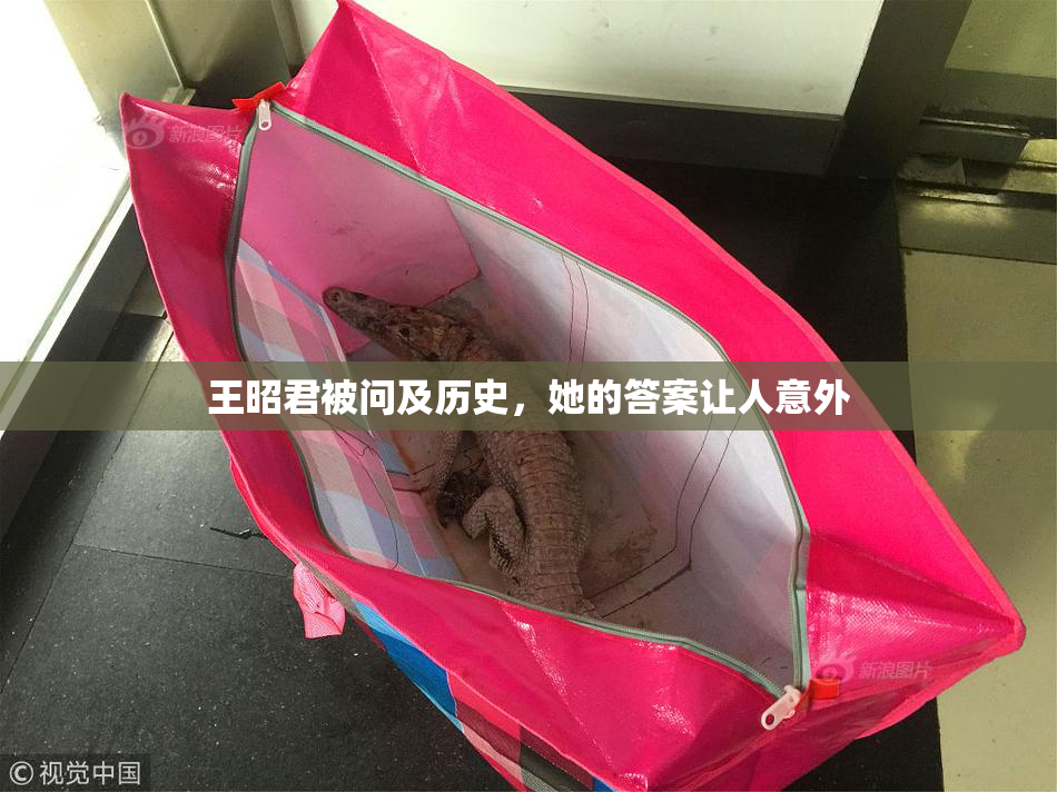 王昭君被问及历史，她的答案让人意外