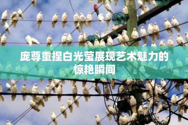 庞尊重捏白光莹展现艺术魅力的惊艳瞬间