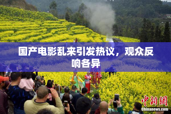 国产电影乱来引发热议，观众反响各异