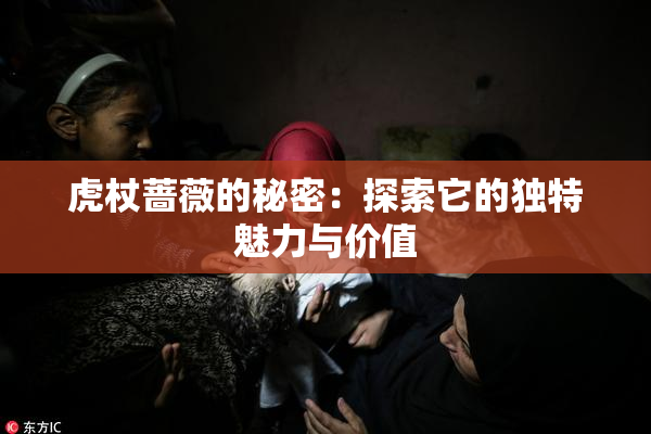 虎杖蔷薇的秘密：探索它的独特魅力与价值