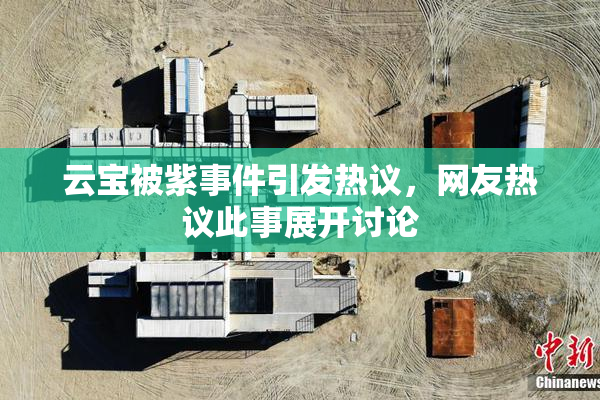 云宝被紫事件引发热议，网友热议此事展开讨论