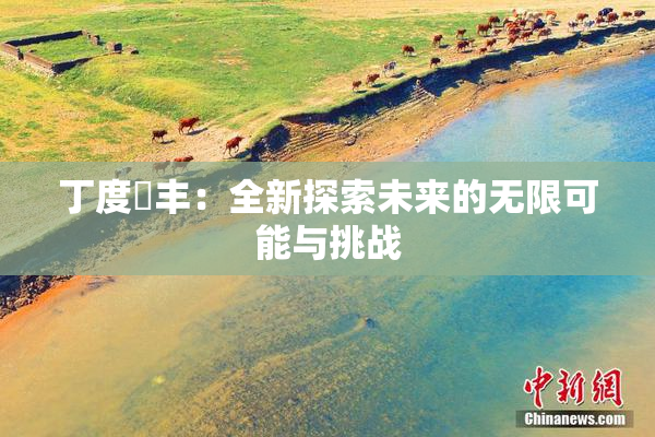 丁度巜丰：全新探索未来的无限可能与挑战