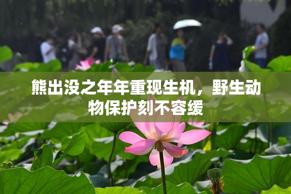 熊出没之年年重现生机，野生动物保护刻不容缓