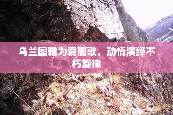 乌兰图雅为爱而歌，动情演绎不朽旋律
