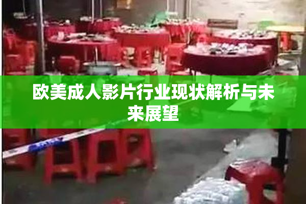欧美成人影片行业现状解析与未来展望