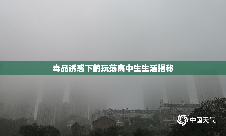 毒品诱惑下的玩荡高中生生活揭秘