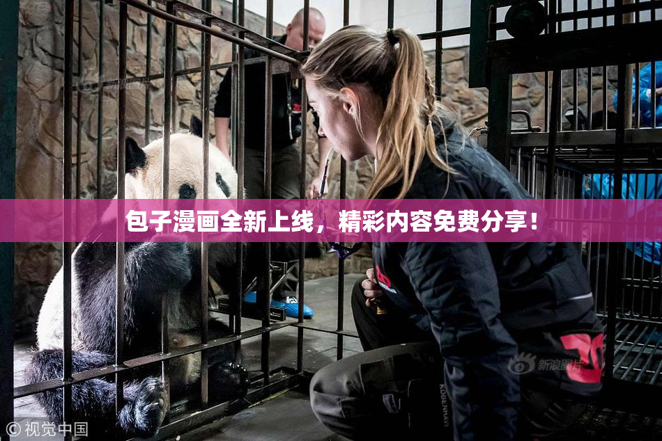 包子漫画全新上线，精彩内容免费分享！
