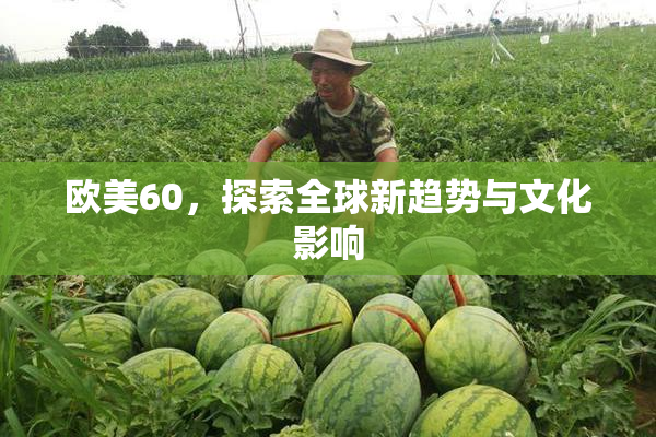 欧美60，探索全球新趋势与文化影响