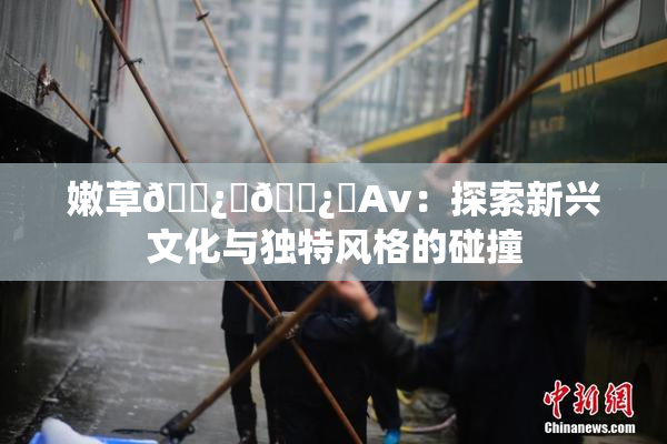 嫩草🌿‌🌿‌Av：探索新兴文化与独特风格的碰撞