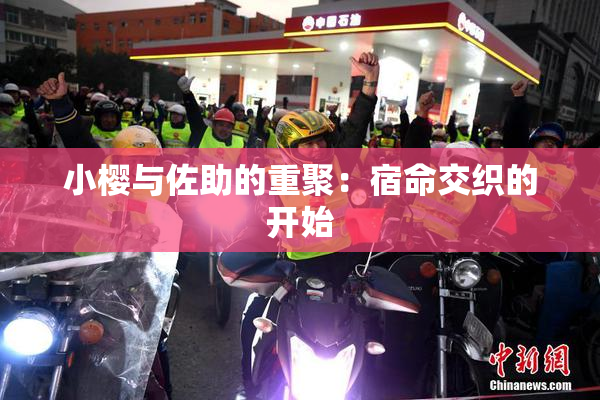 小樱与佐助的重聚：宿命交织的开始