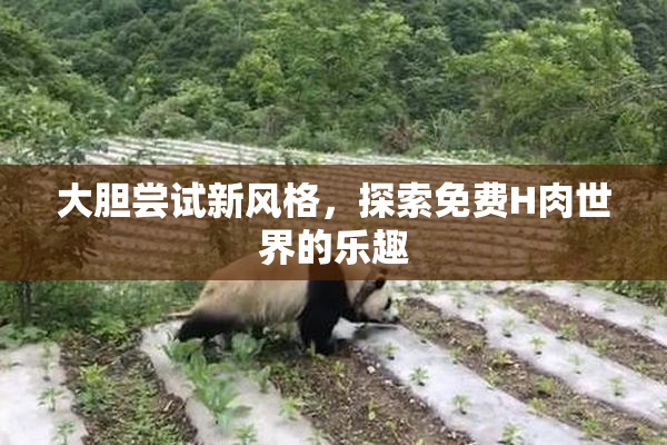 大胆尝试新风格，探索免费H肉世界的乐趣