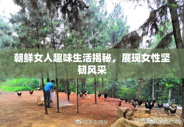 朝鲜女人趣味生活揭秘，展现女性坚韧风采