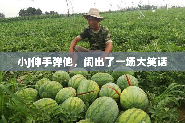 小J伸手弹他，闹出了一场大笑话