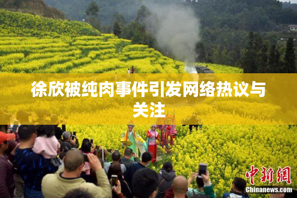 徐欣被纯肉事件引发网络热议与关注