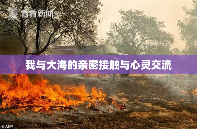 我与大海的亲密接触与心灵交流