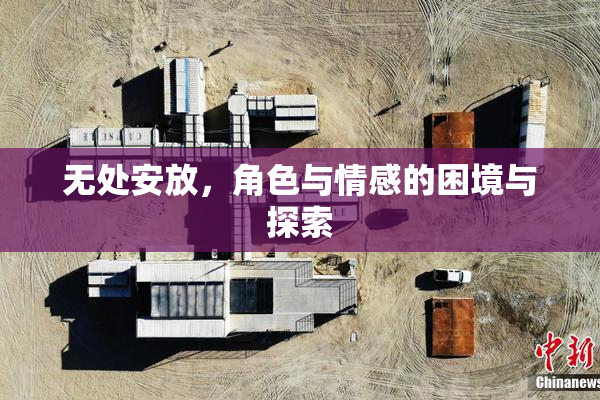 无处安放，角色与情感的困境与探索